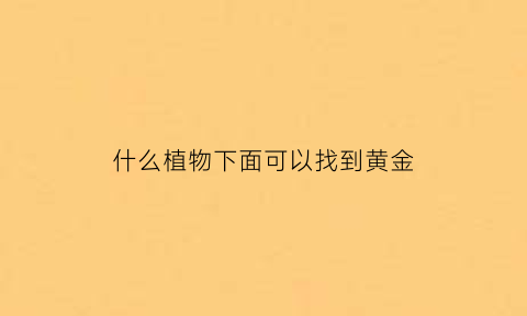 什么植物下面可以找到黄金(什么植物的根下有黄金)