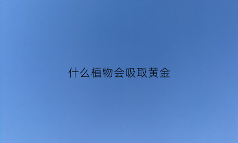 什么植物会吸取黄金(吸引黄金的植物)