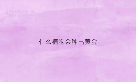 什么植物会种出黄金