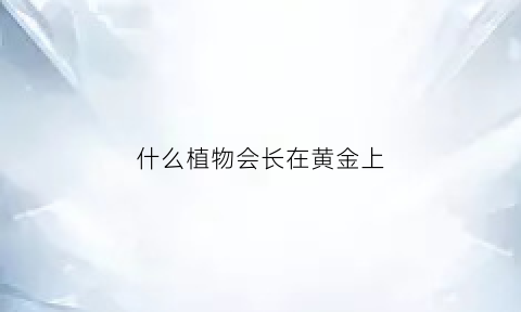 什么植物会长在黄金上(什么植物会长在黄金上呢)