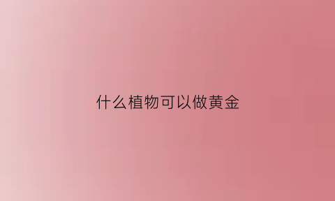 什么植物可以做黄金(什么植物可以提炼黄金)