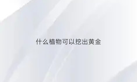 什么植物可以挖出黄金(什么植物可以挖出黄金呢)