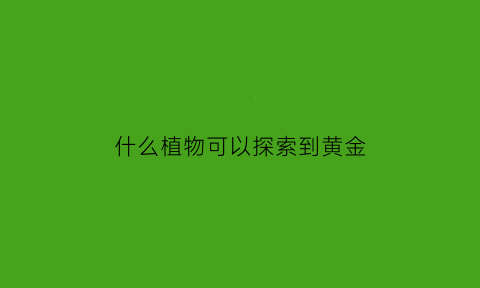 什么植物可以探索到黄金(什么植物生长在有黄金的地方)