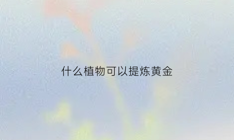 什么植物可以提炼黄金(能提炼黄金的树)