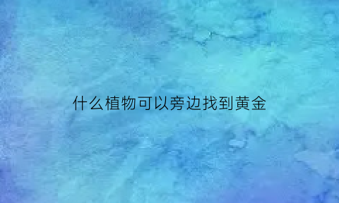 什么植物可以旁边找到黄金(哪种植物下有黄金)