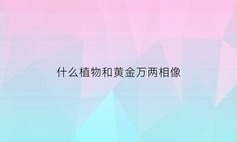 什么植物和黄金万两相像