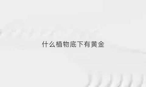 什么植物底下有黄金(什么植物底下有黄金或钻石)