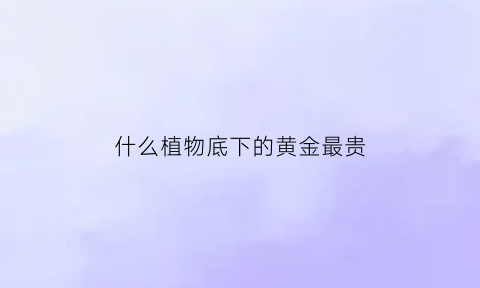 什么植物底下的黄金最贵(什么植物生长的地方有黄金)