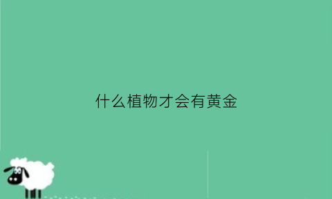 什么植物才会有黄金(什么植物才会有黄金呢)