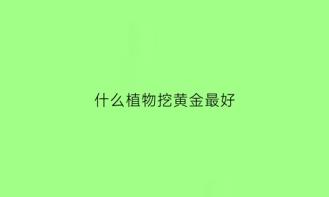 什么植物挖黄金最好(什么样的地方能挖到黄金)