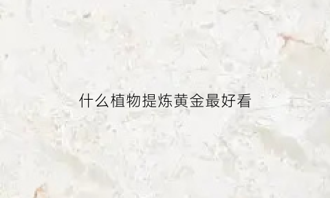 什么植物提炼黄金最好看