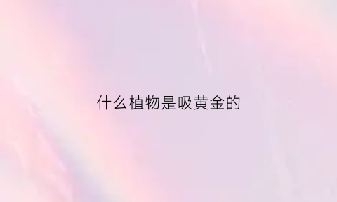 什么植物是吸黄金的