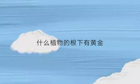 什么植物的根下有黄金