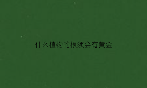 什么植物的根须会有黄金(有什么植物是金黄根)