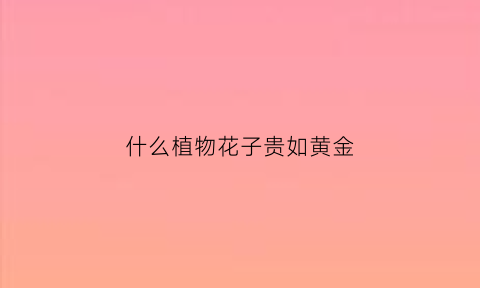 什么植物花子贵如黄金