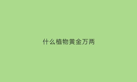 什么植物黄金万两(什么植物黄金万两最好养)