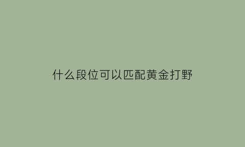 什么段位可以匹配黄金打野(黄金局打野最稳的英雄)