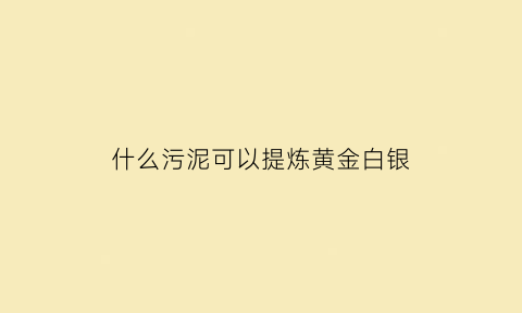 什么污泥可以提炼黄金白银