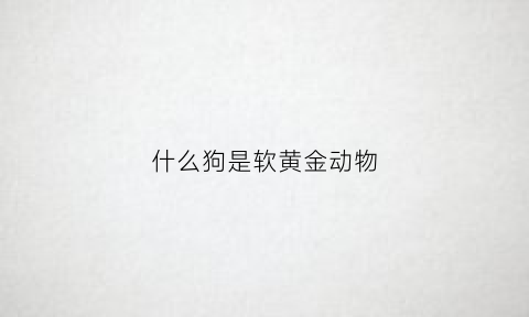 什么狗是软黄金动物(什么鱼被称为软黄金)