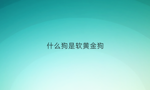 什么狗是软黄金狗