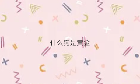 什么狗是黄金(金黄色的狗是什么狗)