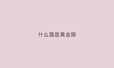 什么猫是黄金眼(金黄色猫眼)