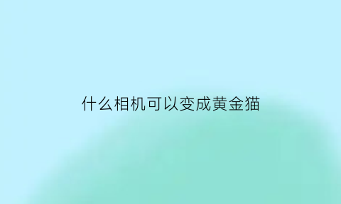 什么相机可以变成黄金猫