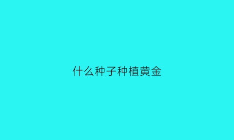 什么种子种植黄金(黄金种子是什么)