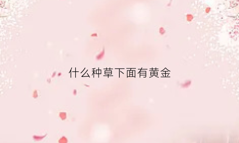 什么种草下面有黄金