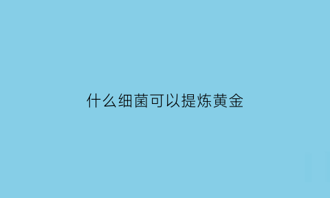 什么细菌可以提炼黄金