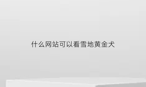 什么网站可以看雪地黄金犬(什么网站可以看雪地黄金犬种)