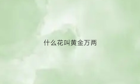 什么花叫黄金万两(有一种花叫黄金万两)