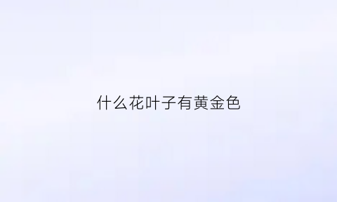 什么花叶子有黄金色(什么花叶子有黄金色的东西)