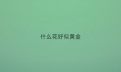 什么花好似黄金