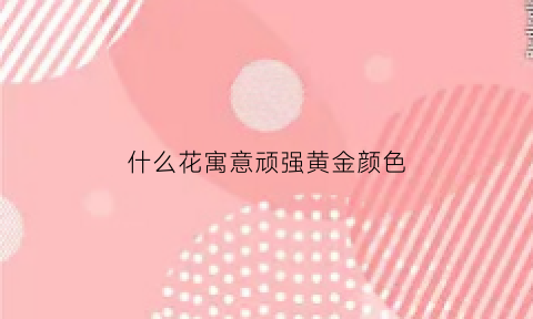 什么花寓意顽强黄金颜色