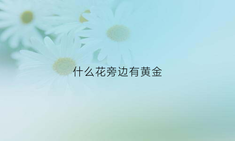 什么花旁边有黄金