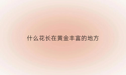 什么花长在黄金丰富的地方(什么花长在黄金丰富的地方呢)