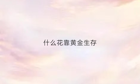 什么花靠黄金生存