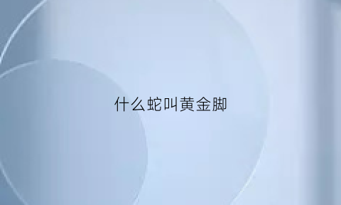 什么蛇叫黄金脚(黄金蛇是什么样子的)