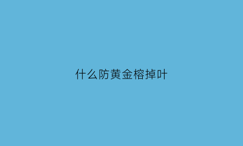 什么防黄金榕掉叶