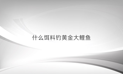 什么饵料钓黄金大鲤鱼(钓黄金鲫鱼饵料配方)