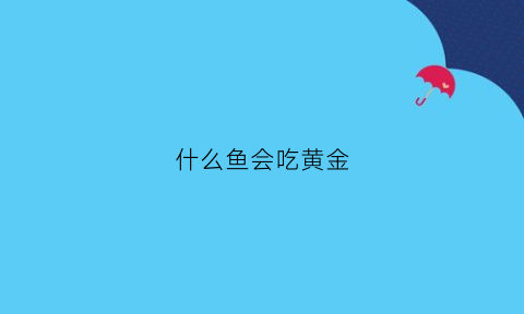 什么鱼会吃黄金(什么鱼吃黄金胡子鱼)