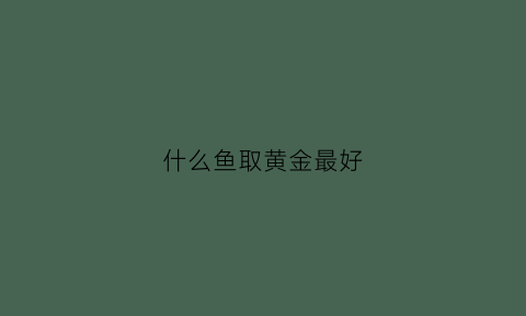 什么鱼取黄金最好(什么金鱼旺财)