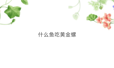 什么鱼吃黄金螺(黄金螺吃活鱼吗)