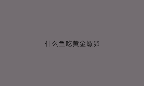 什么鱼吃黄金螺卵(什么鱼吃黄金螺卵好)