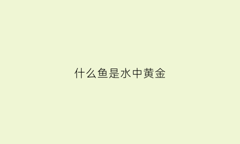 什么鱼是水中黄金(鱼中黄金是指什么鱼)