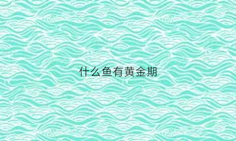 什么鱼有黄金期