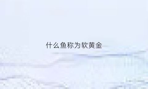 什么鱼称为软黄金