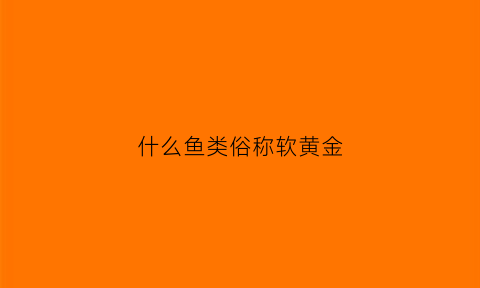 什么鱼类俗称软黄金(什么鱼称为软黄金鱼)