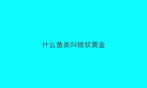 什么鱼类叫做软黄金(被称为软黄金的是什么鱼苗)